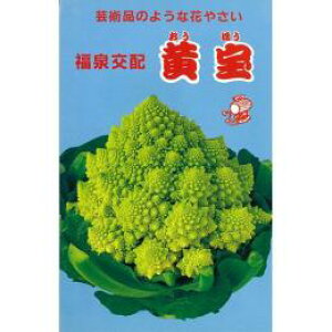 Jt[  y  (ق) z q 20ml i   ؎q ؎ j