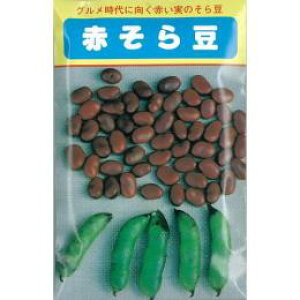 瓤  yzOԂ܂߁z ܁i10j i   ؎q ؎ j