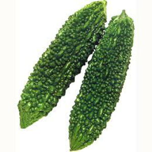 S[ yꂠ΂S[[ ( S[̎ )  1dl z ƒ؉ O[J[eɂ߂ ؎