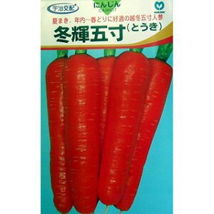 ɂ񂶂  y ~Pܐ z q ܁i6mlj i   ؎q ؎ j