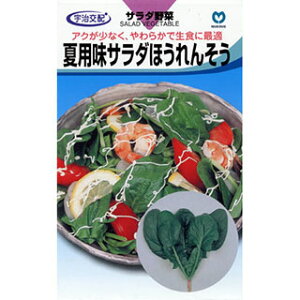 zE\E  y ėpT_ق񂻂 z q ܁i780j i   ؎q ؎ j