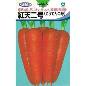 ɂ񂶂  y gV z q ܁i6ml) i   ؎q ؎ j