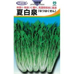   y Ĕ򐅍 z q ܁i4.5mlj i   ؎q ؎ j