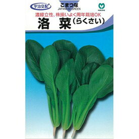 小松菜 種 【洛菜（らくさい）小松菜】 小袋（約6ml) （ 種 野菜 野菜種子 野菜種 ）