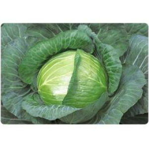 Lxc  y YRV z q  i   ؎q ؎ j