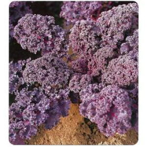 P[  ybh Lb` z q ܁i200jicj i   ؎q ؎ j