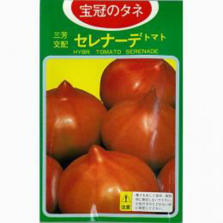 214円 記念日 大玉トマトの種 セレナーデ 1ml 野菜の種