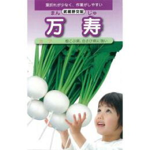 Ju  y  z q 1dl i   ؎q ؎ j