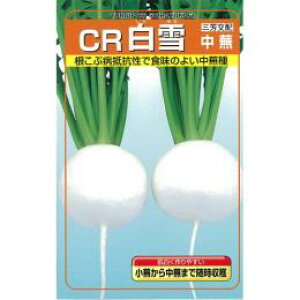 Ju  y CRᒆ z q 1dl i   ؎q ؎ j