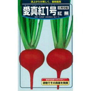 Ju  y ^g1 z q 2dl i   ؎q ؎ j