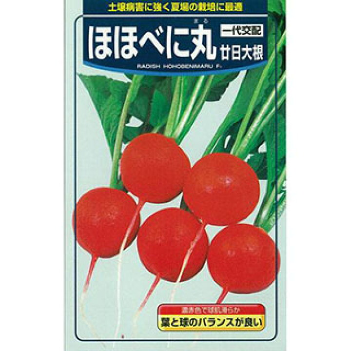 楽天市場】大根 種 【 ほほべに丸 】 種子 小袋(約8ml) ( 種 野菜 野菜種子 野菜種 ) : 【菜園くらぶ】家庭菜園の専門店 楽天市場】大根 種 【 ほほべに丸 】 種子 小袋(約8ml) ( 種 野菜 野菜種子 野菜種 ) : 【菜園くらぶ】家庭菜園の専門店