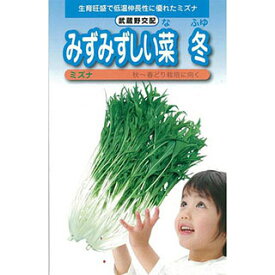 水菜 種 【 水菜みずみずしい菜（冬） 】 種子 小袋（約6ml) （ 種 野菜 野菜種子 野菜種 ）
