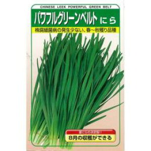 ɂ  y ptO[xg z q 2dl i   ؎q ؎ j