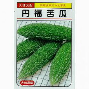 S[  y~z 6 i   ؎q ؎ j