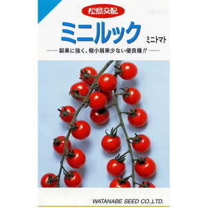 �~�j�g�}�g �� �y �~�j���b�N �z ���܁i15���j ( �~�j�g�}�g�̎� )