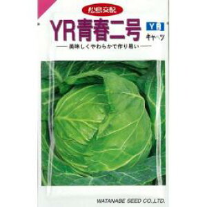 Lxc  y YRt z 1.3ml ( Lxc̎ )