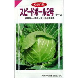 キャベツ 種 【 スピードボール2号 】 1.3ml ( キャベツの種 )