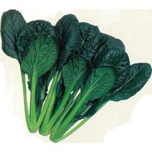   y݂܂؁z ܁i3.7mlj i   ؎q ؎ j