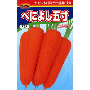 ɂ񂶂  y ׂɂ悵ܐ z q ܁i20mlj i   ؎q ؎ j