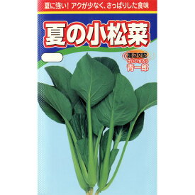 小松菜 種 【夏の小松菜】 小袋（約20ml） （ 種 野菜 野菜種子 野菜種 ）