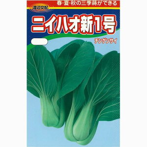 񂰂  y jCnIV1 z q R[g5痱 i   ؎q ؎ j