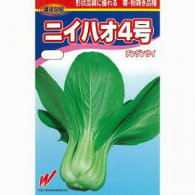 ちんげん菜 種 【 ニイハオ4号 】 種子 2dl （ 種 野菜 野菜種子 野菜種 ）