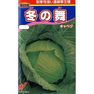 Lxc  y ~̕ z q R[g5痱 i   ؎q ؎ j