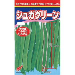 邠肢񂰂  yVKO[z 1L i   ؎q ؎ j