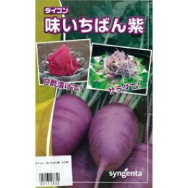 楽天市場 紫 大根 種の通販
