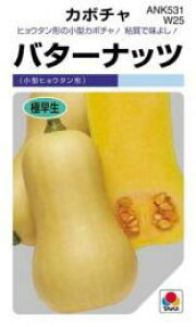 ���ڂ��� �� �y�o�^�[�i�b�c�z 100�� �i �� ��� ��؎�q ��؎� �j