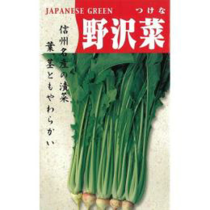 楽天市場】【 野沢菜 】 種子 1L （ 種 野菜 野菜種子 野菜種 
