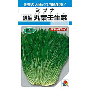 p  y cPiۗtp؁iӐj z q 1L i   ؎q ؎ j