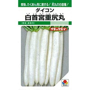 卪  y {dېK z q 1L i   ؎q ؎ j