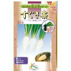 【 かぶ菜すぐき菜 】 種子 小袋(約7ml) ( 種 野菜 野菜種子 野菜種 )
