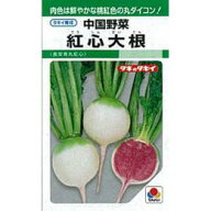 大根 種 【紅心大根】 小袋（約1dl）（タキイ種苗） （ 種 野菜 野菜種子 野菜種 ）