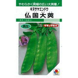 ʂGhE  y䰁z 1dl i   ؎q ؎ j