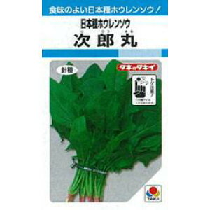 zE\E  y Y z q 1L i   ؎q ؎ j