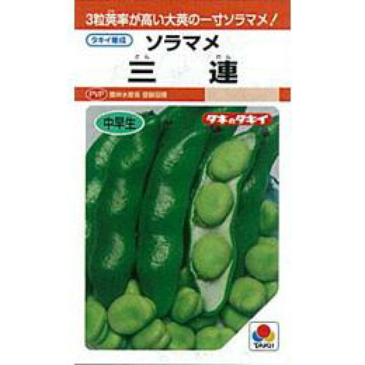 楽天市場 そら豆 種 三連 1l 種 野菜 野菜種子 野菜種 菜園くらぶ 家庭菜園の専門店