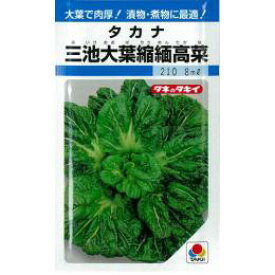 葉菜類 種 【 三池大葉縮緬高菜 】 小袋（3.5ml） ( 葉菜類の種 )