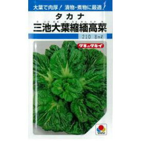 楽天市場 三池 高菜 種の通販 楽天市場 三池 高菜 種の通販