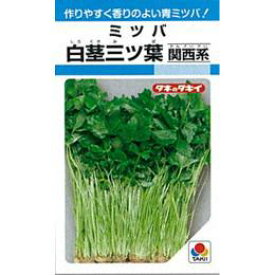 三つ葉 種 【 白茎ミツバ (関西系) 】 種子 1L （ 種 野菜 野菜種子 野菜種 ）