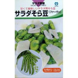 楽天市場 そら豆 苗の通販