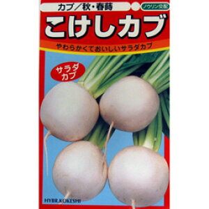 Ju  y Ju z q ܁i3mlj i   ؎q ؎ j