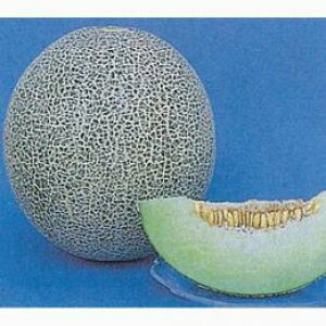   y^J~z 100 i   ؎q ؎ j