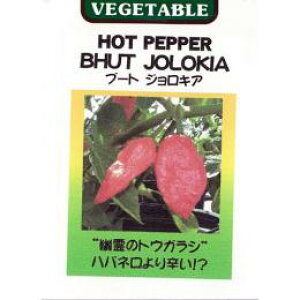 hq  yWLAz  i   ؎q ؎ j