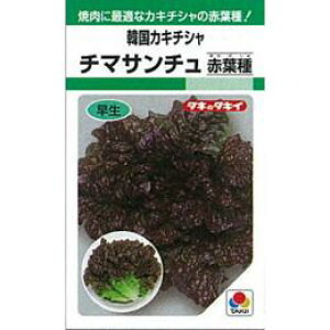 ^X  y `}T`ԗt z (GF 0.9ml) ( ^X̎ )