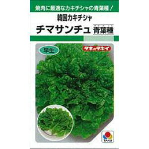 ^X  y `}T`t z q ܁i20mlj i   ؎q ؎ j