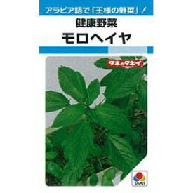 【 モロヘイヤ 】 種子 小袋（約20ml） （ 種 野菜 野菜種子 野菜種 ）