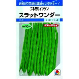 邠肢񂰂  yXbg_[z 1L i   ؎q ؎ j