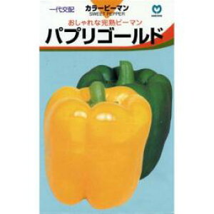 pvJ  ypvS[hz 100 i   ؎q ؎ j